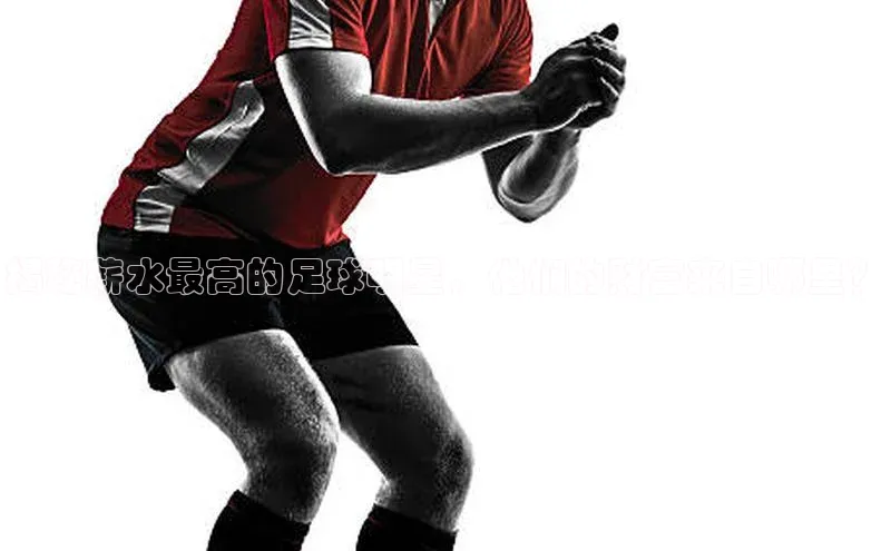 星空综合(中国)官方网站百度网盘揭秘薪水最高的足球明星，他们的财富来自哪里？