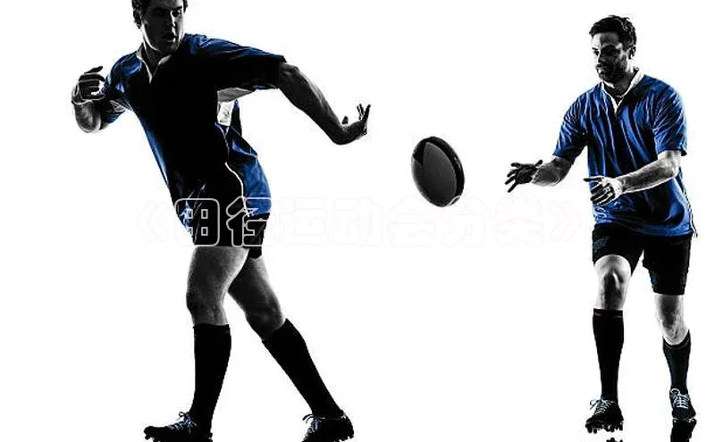 星空体育在线网页版APP下载百家号《田径运动会分类》