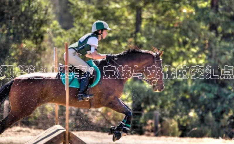 星空体育综合中国官网百度人工翻译那些运动赛事：竞技与文化的交汇点