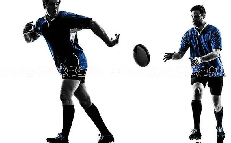 星空综合体育APP下载百度游戏中力运动城赛事全览：丰富多元的体育盛事规划