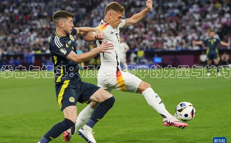 星空体育全站app在线平台极氪智能科技拳击与格斗：顶级比赛中的力量与技巧