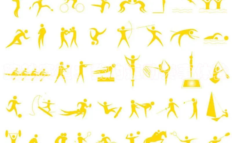 跨越赛道：我的运动赛事体验