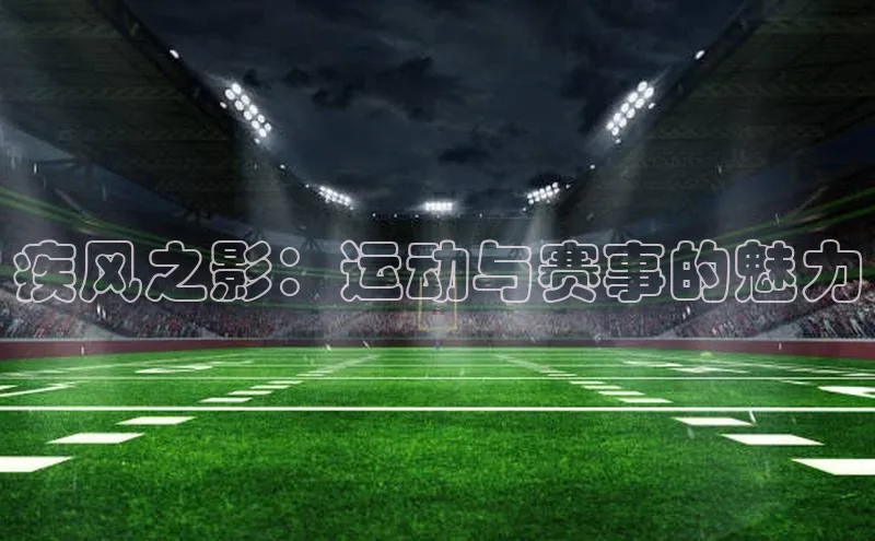 疾风之影：运动与赛事的魅力
