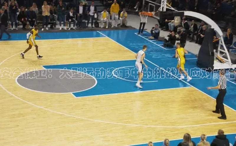 安全保卫：大型运动赛事中的挑战与应对策略