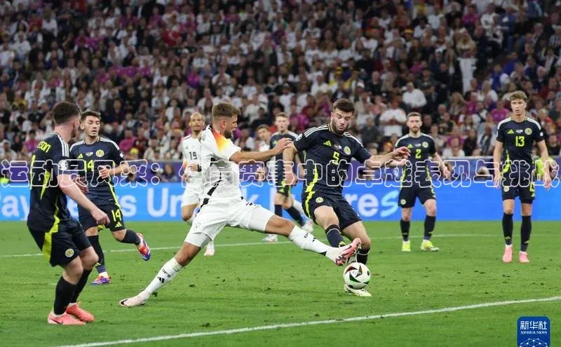 运动员风采：体育赛事中的卓越表现与挑战