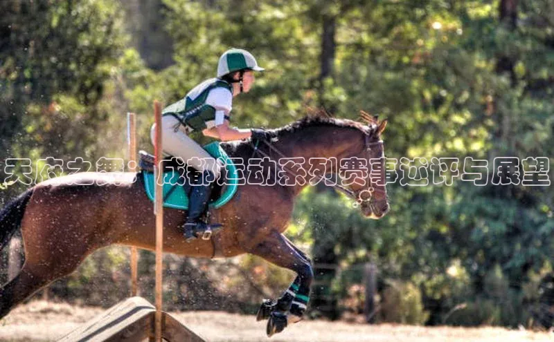 天府之舞：成都运动系列赛事述评与展望