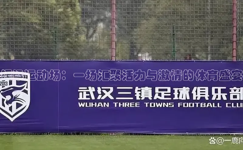 铜梁运动场：一场汇聚活力与激情的体育盛宴