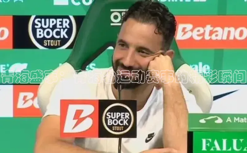 青海盛事：青海省运动赛事的精彩瞬间