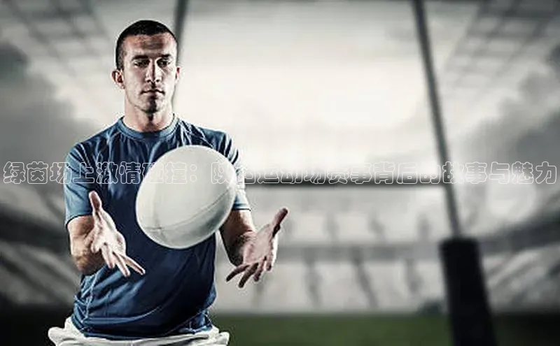 绿茵场上激情碰撞：陕西运动场赛事背后的故事与魅力