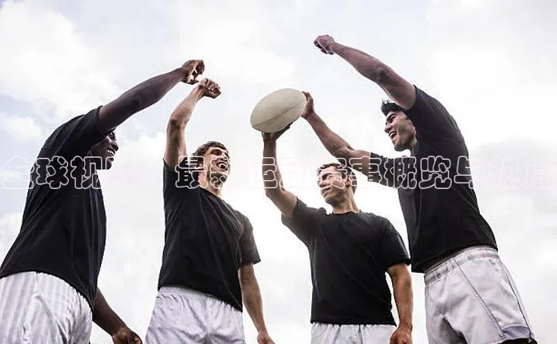 星空综合体育网页版登录