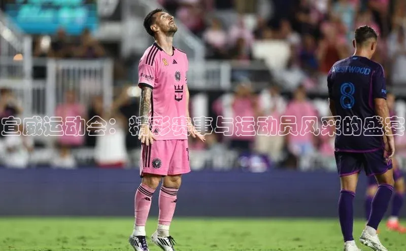 宣威运动会：精彩赛事与运动员风采的盛宴